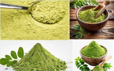 moringa-powder-img